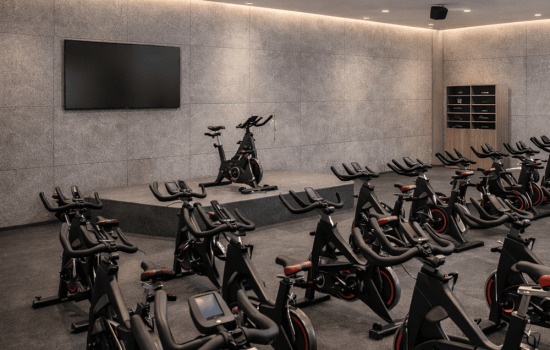 gentlepan gym